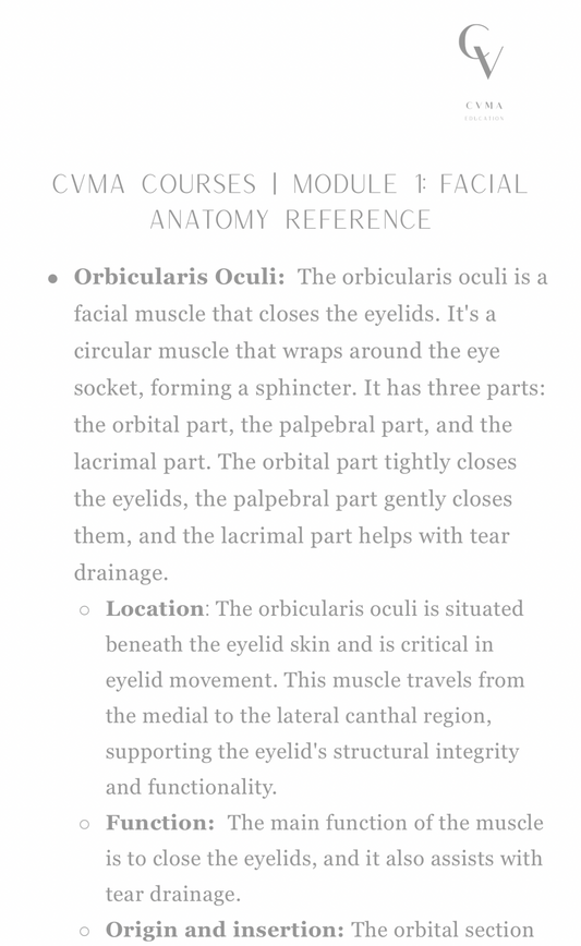 Facial Anatomy Reference Sheet | Botox Anatomy